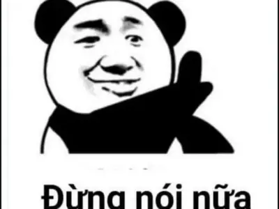 Tổng hợp ảnh gấu trúc bựa siêu lầy lội hot nhất hiện nay