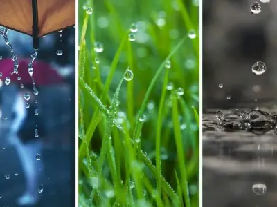 Chiêm ngưỡng vẻ đẹp tự nhiên qua những bức ảnh giọt sương