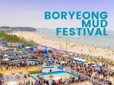 Hòa mình vào lễ hội tắm bùn Boryeong cùng trải nghiệm thú vị