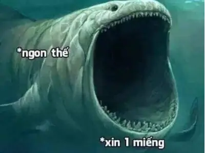 Tuyển chọn những ảnh meme há miệng chế vui nhộn độc lạ
