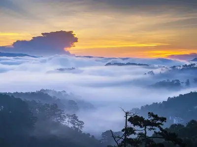 Ngắm nhìn phong cảnh sương mù qua những bức ảnh huyền ảo