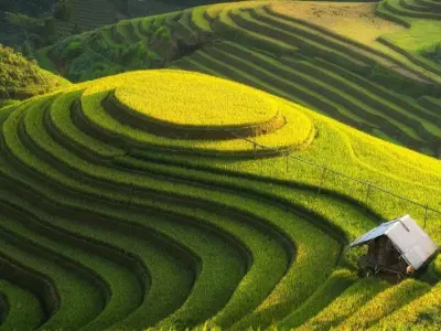 Tuyển chọn ảnh ruộng bậc thang Sapa đầy thơ mộng