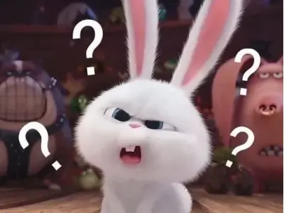 Tổng hợp ảnh thỏ Snowball meme siêu đáng yêu và vui nhộn