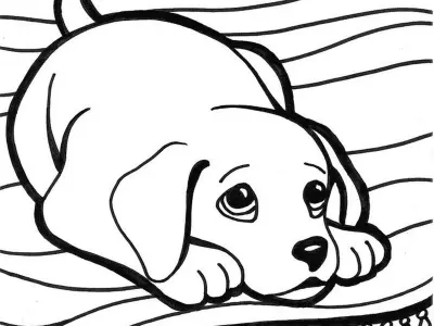 Tranh tô màu động vật cute đơn giản, dễ thương cho bé