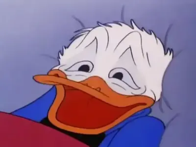 Ảnh vịt Donald meme độc lạ khiến dân mạng thích thú
