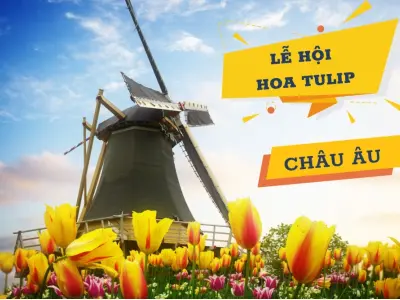 Lễ hội Tulip Time sắc màu rực rỡ mang phong vị Hà Lan