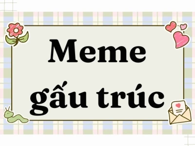 420+ Meme Gấu Trúc Hài Hước Gây Bão Mạng Xã Hội