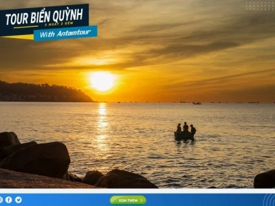 Khám Phá Biển Quỳnh Nghệ An: Thiên Đường Hoang Sơ Đáng Chuyến Đi Năm 2026