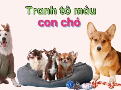 Khám phá hơn 300+ mẫu tranh tô màu con chó dễ thương cho bé