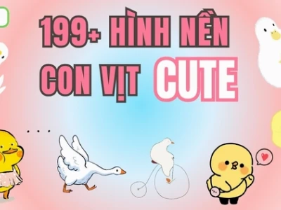 Khám phá thế giới Meme con vịt: Hài hước, đáng yêu và cực trend 2026