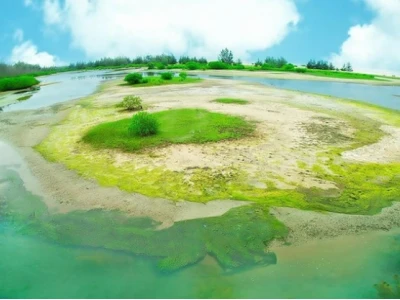 Khám phá vẻ đẹp hoang sơ của bãi biển Hồ Cốc