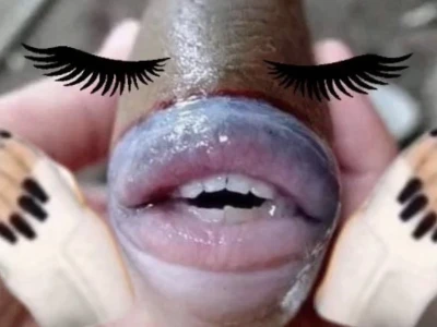 Meme Bĩu Môi: Biểu Tượng Cảm Xúc Đa Dạng Trên Mạng Xã Hội