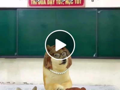 Meme Mèo Khóc: Biểu Cảm "Xúc Động" Viral Trên Mạng Xã Hội