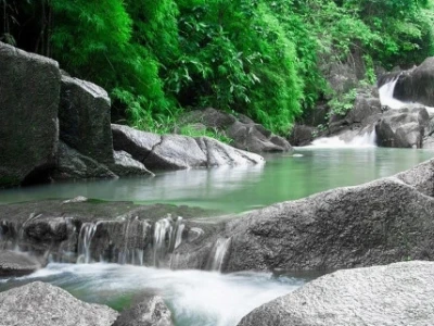 Suối Tiên Núi Dinh: Điểm Hẹn Hấp Dẫn Khám Phá Vẻ Đẹp Thiên Nhiên Bà Rịa Vũng Tàu