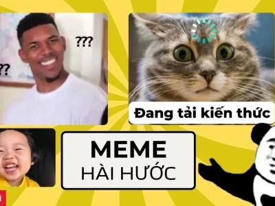 Tổng hợp ảnh meme vô tri hài hước nhất 2026