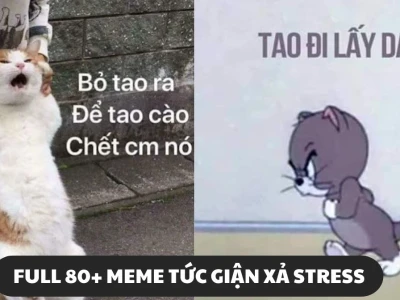 Tổng hợp Meme Tức Giận: Biểu Cảm Khó Đỡ và Hài Hước