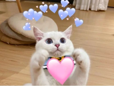 Tuyển Tập Meme Tình Yêu Dễ Thương Nhất Năm 2026