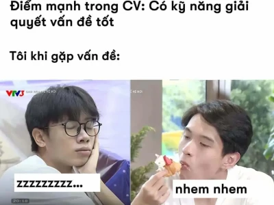 Vấn đề kỹ năng meme hài hước: Khi CV đẹp lung linh và thực tế đối lập