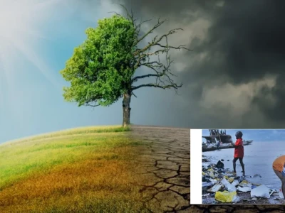 Ảnh hưởng của biến đổi khí hậu đến môi trường sống năm 2026